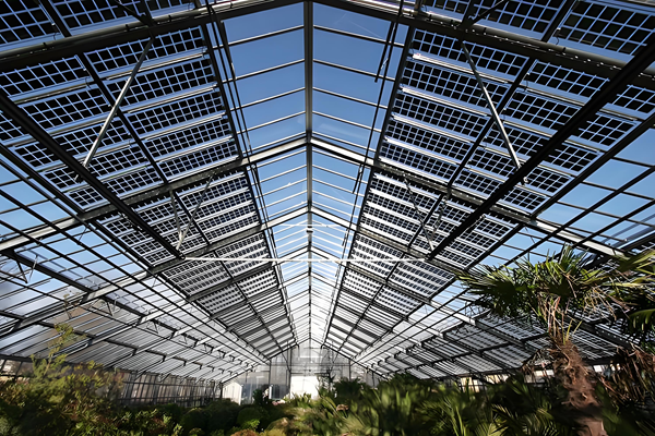 57% Energy Savings! Transparent Power-Generating Glass Turns Greenhouses into Sustainable Energy Hubs